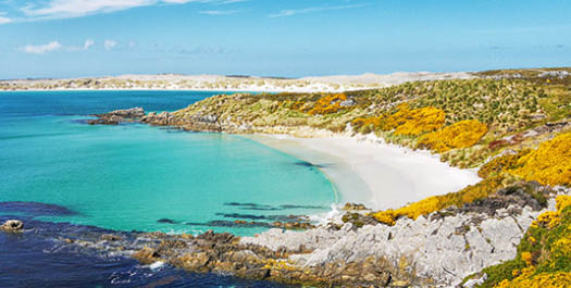 Falkland Islands /Southern Ocean