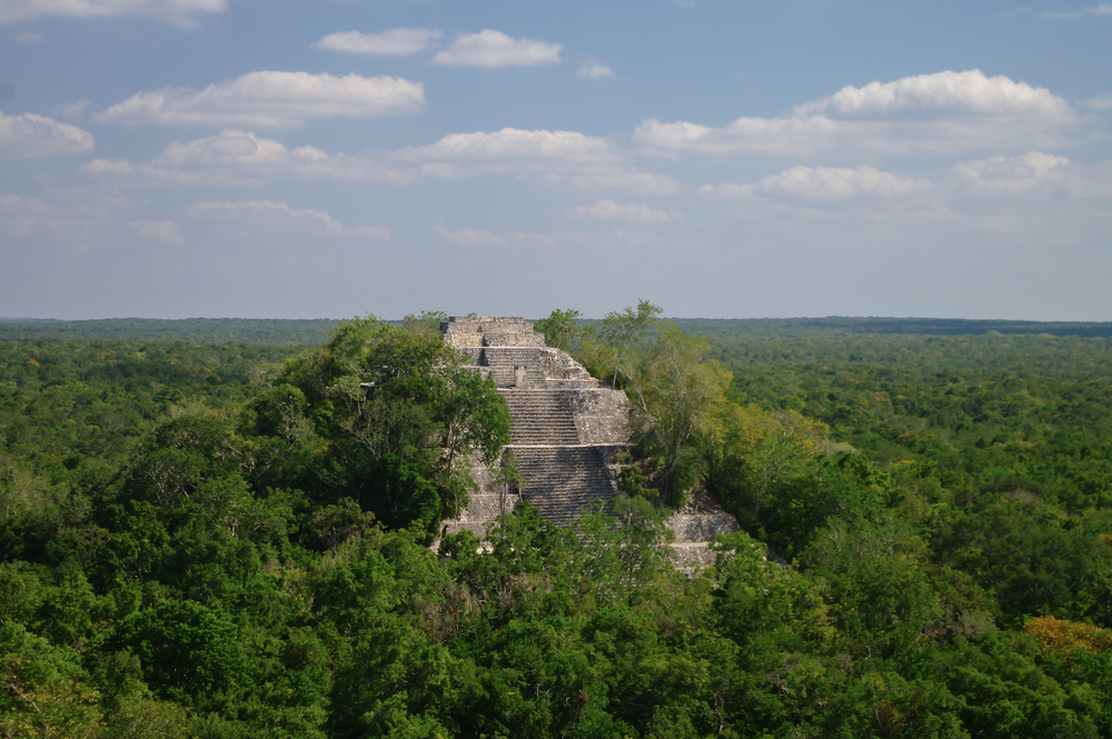 ancient maya ruin in the rain forest