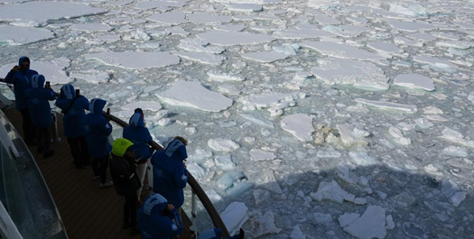 Crossing the Drake Passage - Days 17 & 18