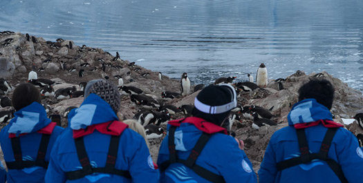 Antarctic Peninsula & South Shetland