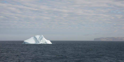 Kane Basin - Day 5 & 6