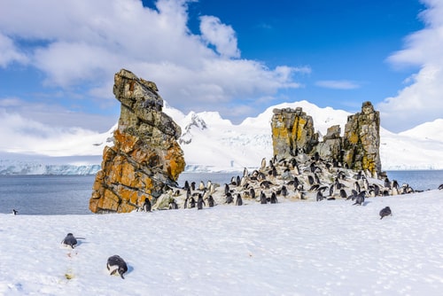 South Shetland & Antarctic Peninsula -Day 15 to 18