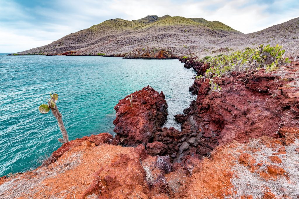 Red rock landscape of Santiago Island in the Galapagos Islands