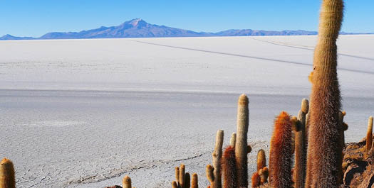 Atacama Salt Lake & Toconao Tour