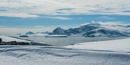 Antarctic Peninsula - Day 4 to 9