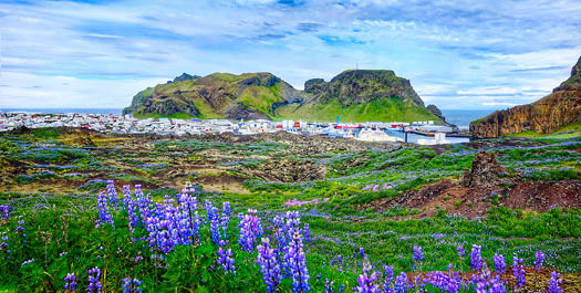 Vestmannaeyjar (Westman Islands)