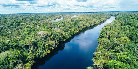 Arrive Inkaterra Reserva Amazonica