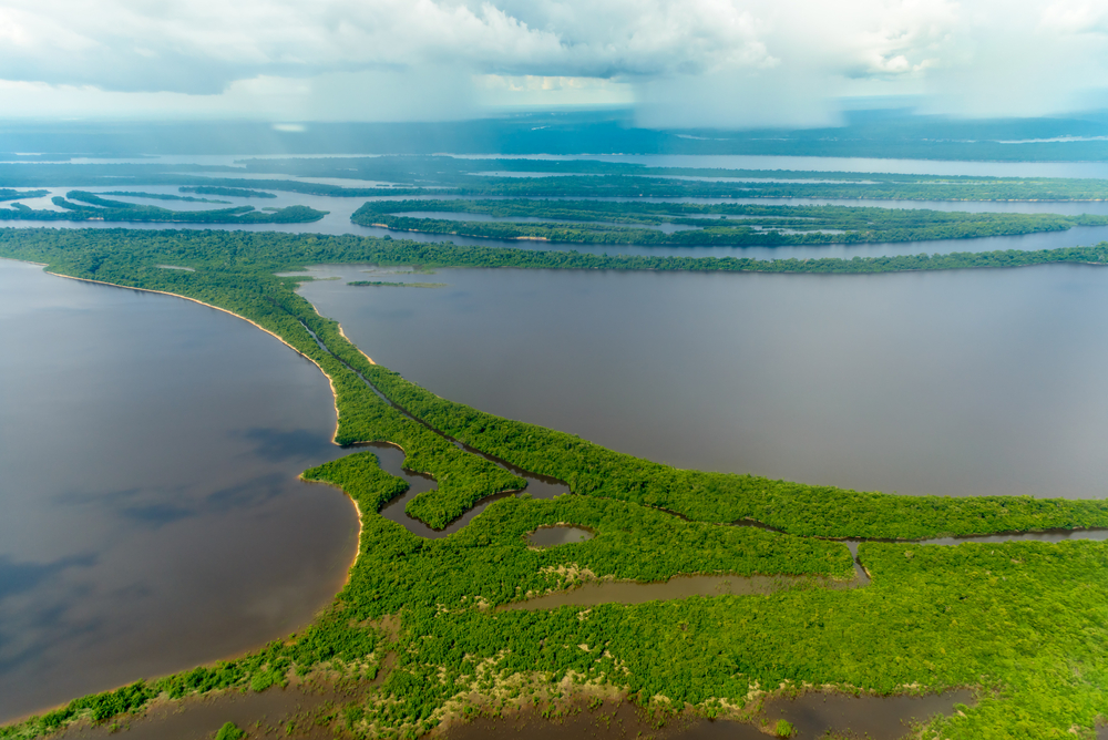 Amazing view of the Brazilian Amazon.