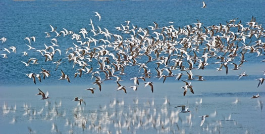 Hudson Strait: Days 10 & 11