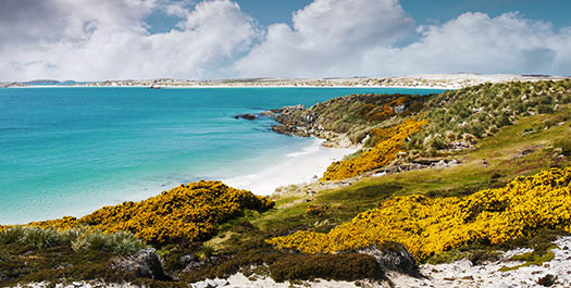 Falkland Islands (Islas Malvinas) - day 4 & 5
