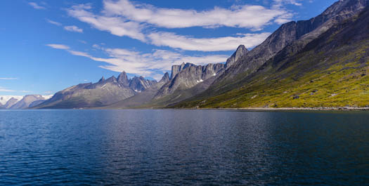 Tasermiut Fjord, Nanotarlik