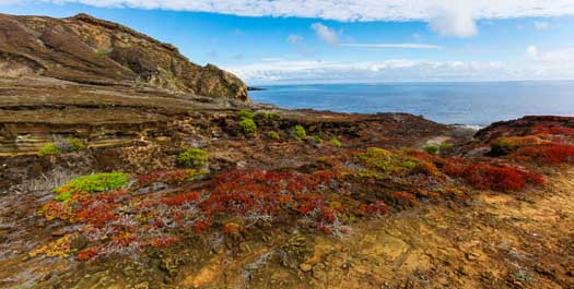 San Cristobal Island: Punta Pitt & Lobos Island