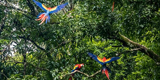 Guatemala City to Copan