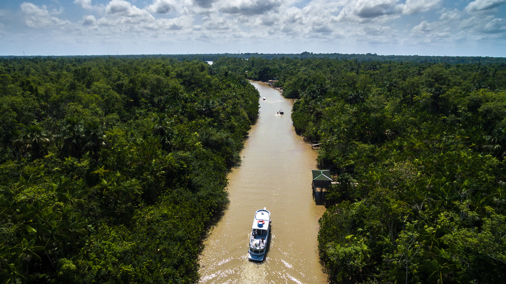 Sailing through the Amazon 