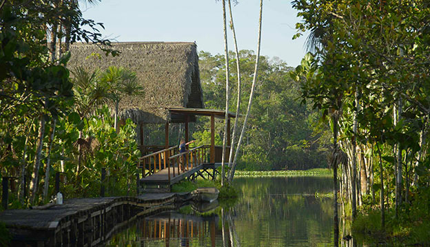 Sacha Lodge in the Ecuadorian Amazon