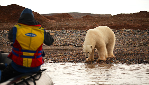A passenger in a zodiac takes a photograph of a polar bear