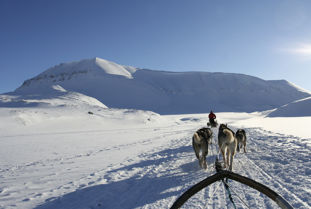 Svalbard snow