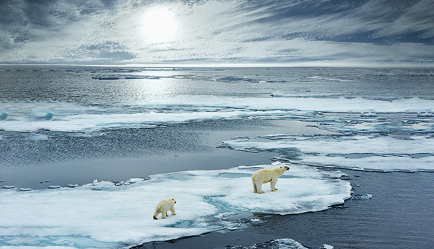 polar bear sow and cub walk on ice floe in norwegian arctic waters and illustrated against sun in distant horizon, wide angle of view