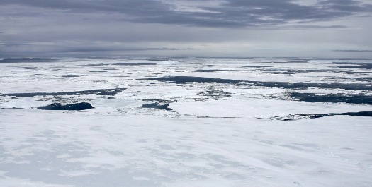 Weddell Sea - Day 15 - 17