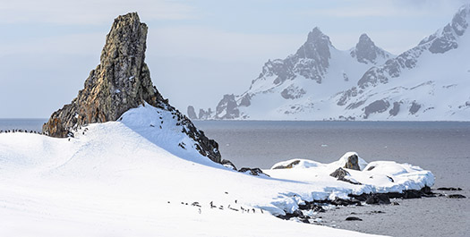 South Shetlands & Antarctic Peninsula - Day 5 to 8