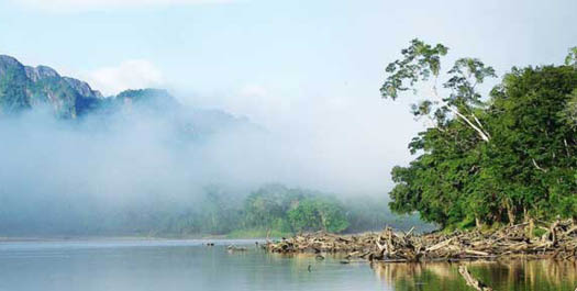 Navigate along Beni & Tuichi Rivers to ''Caquiahua