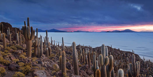 Uyuni Salt Flats - La Paz