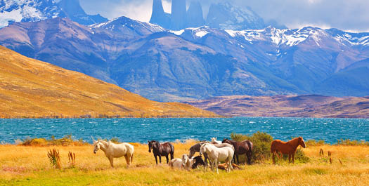 Explore Torres del Paine National Park